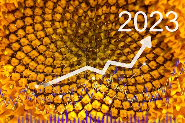 Harness the Power of SEO: Increase Traffic by 20% in 2025